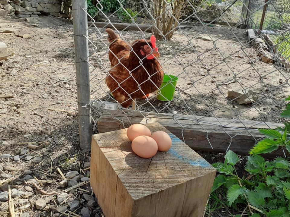 Penzion Mala Farma Nemojany Экстерьер фото